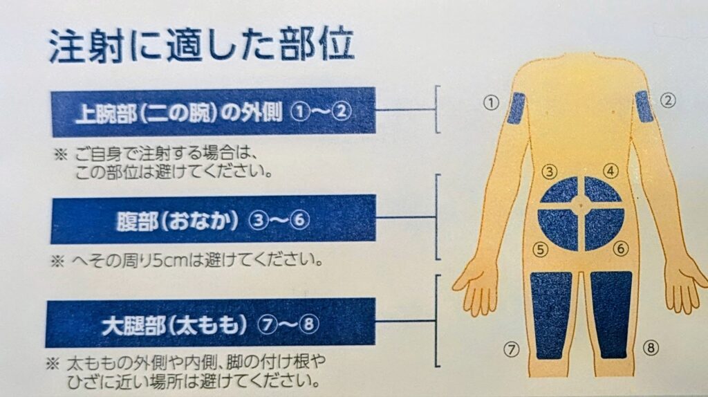 注射に適した部位の説明の写真